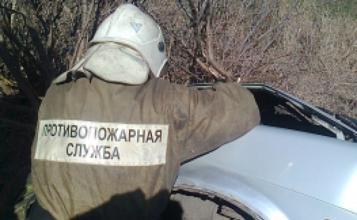 В Курской области водитель «четырнадцатой» врезался в дерево и погиб В Курской области водитель «четырнадцатой» врезался в дерево и погиб
