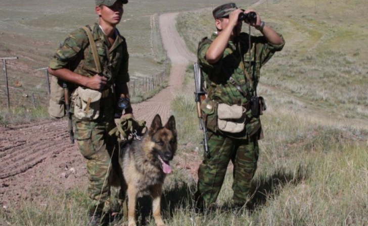 Под Курском задержан таджик, который пытался попасть из Украины в Россию Под Курском задержан таджик, который пытался попасть из Украины в Россию