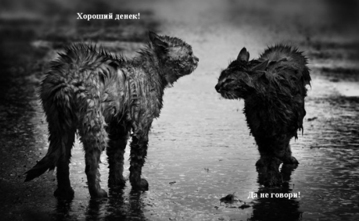 С 25 на 26 июня курян ожидают сильные дожди и грозы С 25 на 26 июня курян ожидают сильные дожди и грозы