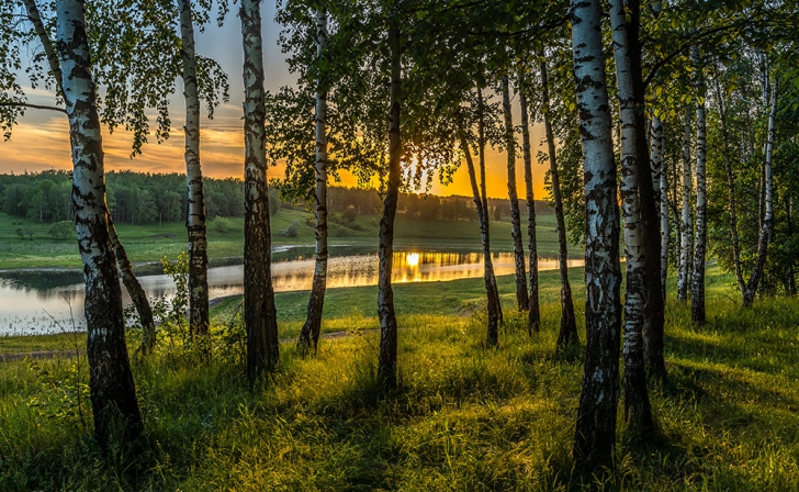 Курский фотохудожник представит «Новый взгляд» Курский фотохудожник представит «Новый взгляд»