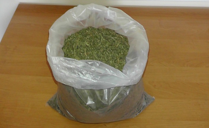 Курские полицейские изъяли крупную партию наркотиков Курские полицейские изъяли крупную партию наркотиков