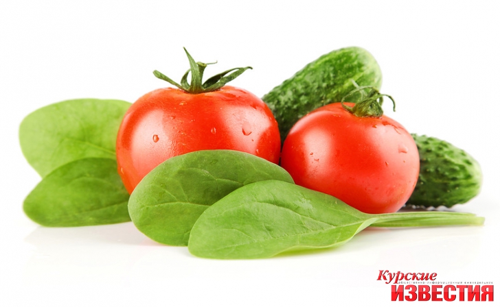 В Курской области появится новый тепличный комплекс В Курской области появится новый тепличный комплекс