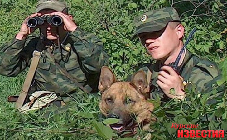 Курская область. Водитель незаконно грузил авто украинскими товарами Курская область. Водитель незаконно грузил авто украинскими товарами