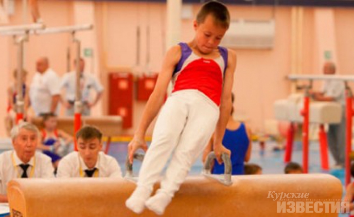 Курские гимнасты успешно выступили на Чемпионате и первенстве ЦФО Курские гимнасты успешно выступили на Чемпионате и первенстве ЦФО