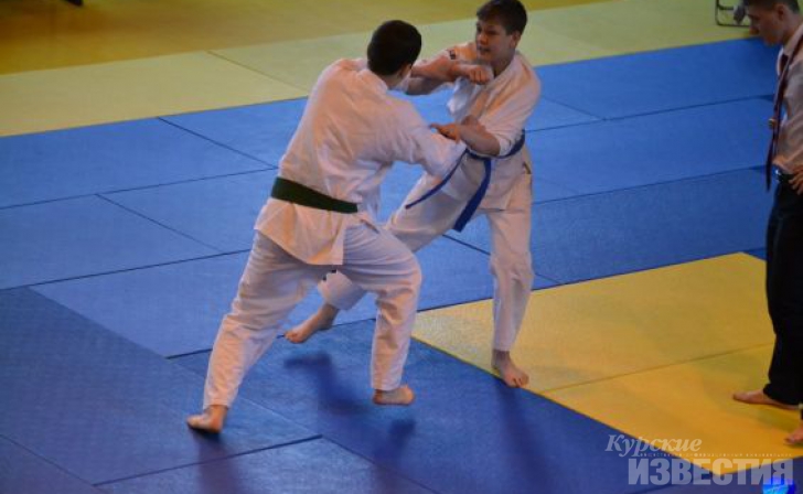 В Курске прошел II Чемпионат Черноземья по всестилевому каратэ В Курске прошел II Чемпионат Черноземья по всестилевому каратэ