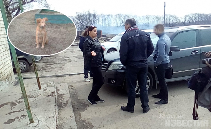 Куряне не нашли собаку в пункте передержки Куряне не нашли собаку в пункте передержки