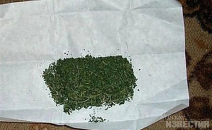 Курянка пыталась передать марихуану знакомому из Центра временного содержания иностранцев Курянка пыталась передать марихуану знакомому из Центра временного содержания иностранцев