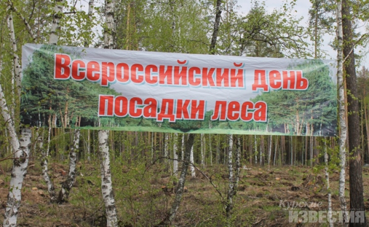 Курская область. В Щиграх прошла акция «Всероссийский день посадки леса» Курская область. В Щиграх прошла акция «Всероссийский день посадки леса»