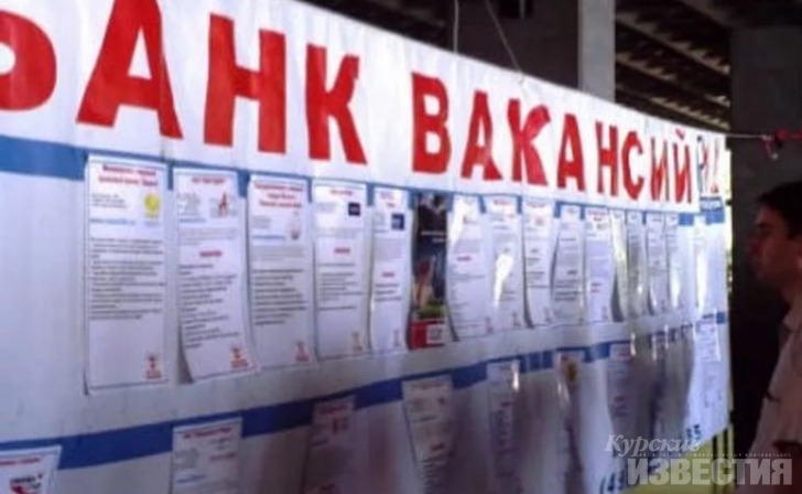 В Курской области 6,7 тысяч свободных вакансий В Курской области 6,7 тысяч свободных вакансий