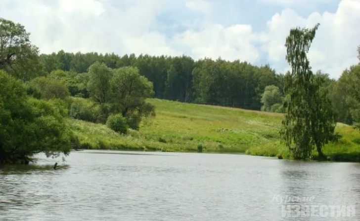 По иску прокуратуры в Курском районе отменили незаконную аренду участка рядом с прудом По иску прокуратуры в Курском районе отменили незаконную аренду участка рядом с прудом