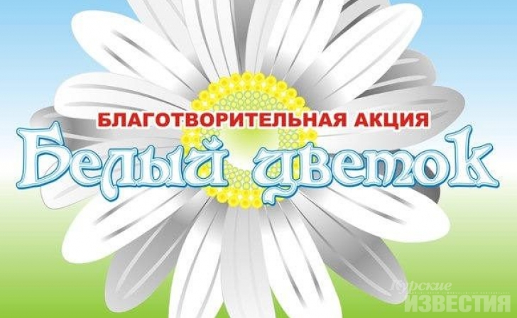 В Курске пройдёт «День Белого цветка» В Курске пройдёт «День Белого цветка»