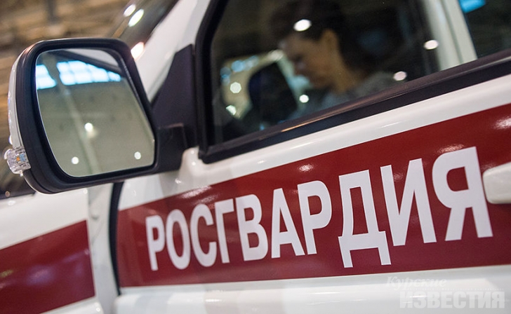 В Курске Росгвардейцы задержали подозреваемого в краже В Курске Росгвардейцы задержали подозреваемого в краже