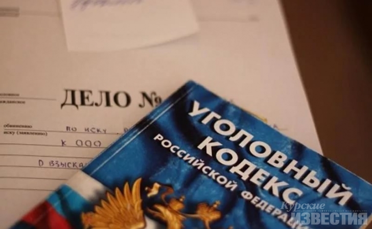 Курянка соврала полиции, что муж угрожал убить её топором Курянка соврала полиции, что муж угрожал убить её топором