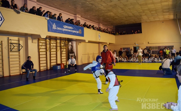 В Курске прошли соревнования по тхэквондо В Курске прошли соревнования по тхэквондо