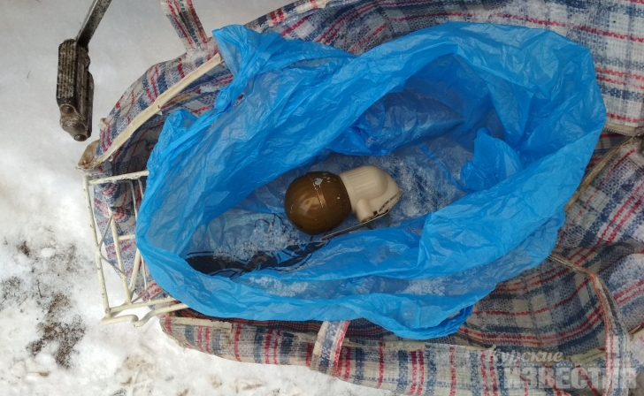 Полицейские изъяли у курянина гранату Полицейские изъяли у курянина гранату