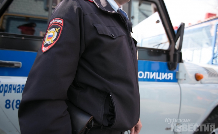 Курянин вынес, не заплатив, кожаную сумку из магазина Курянин вынес, не заплатив, кожаную сумку из магазина
