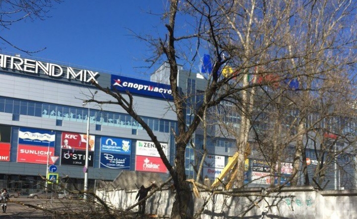 На пожилую курянку рухнул 6-метровый тополь, который спилили рабочие На пожилую курянку рухнул 6-метровый тополь, который спилили рабочие