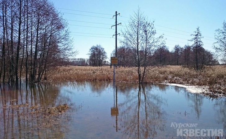 Курская область. Большая вода пришла в заповедник имени В.В. Алёхина Курская область. Большая вода пришла в заповедник имени В.В. Алёхина