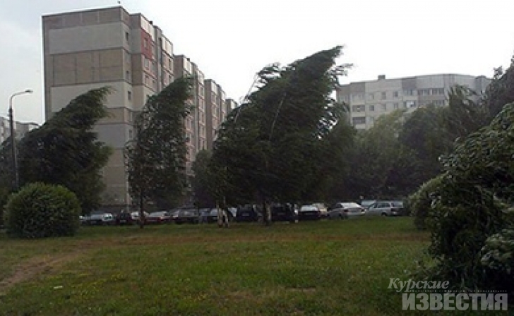 В Курской области июль начнется с ураганного ветра и дождя В Курской области июль начнется с ураганного ветра и дождя