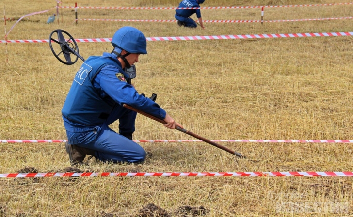 В Курской области обнаружили 19 артиллерийский снарядов В Курской области обнаружили 19 артиллерийский снарядов