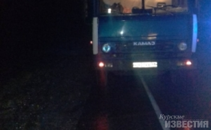 В Курской области столкнулись «КамАЗ» и «Мерседес», есть пострадавшие В Курской области столкнулись «КамАЗ» и «Мерседес», есть пострадавшие