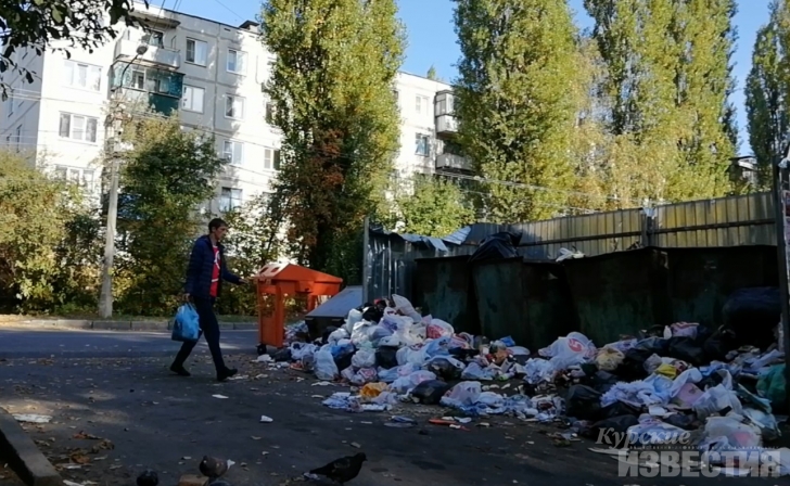 Жильцы трёх курских пятиэтажек выбрасывают мусор в чужие контейнеры Жильцы трёх курских пятиэтажек выбрасывают мусор в чужие контейнеры
