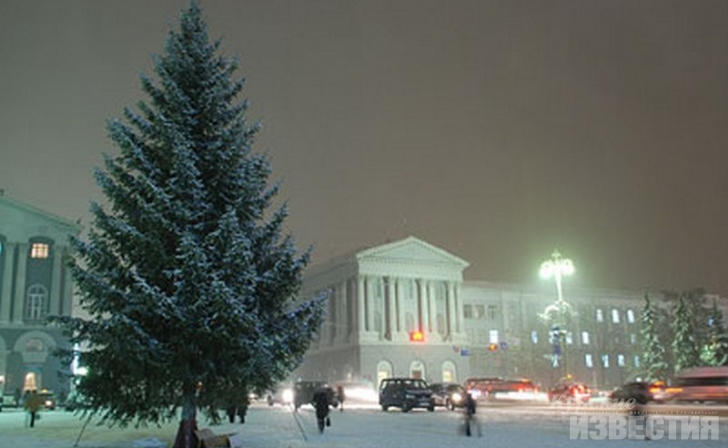 Главную курскую ель ещё не нашли Главную курскую ель ещё не нашли