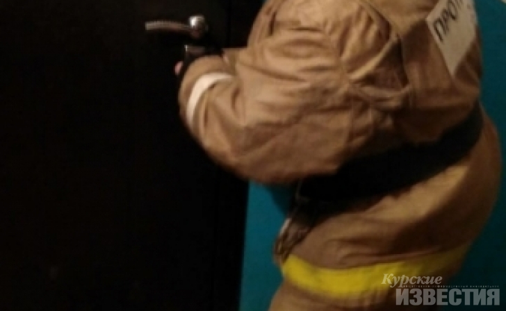 Спасатели помогли пожилой курянке попасть в квартиру, где лежал парализованный муж Спасатели помогли пожилой курянке попасть в квартиру, где лежал парализованный муж
