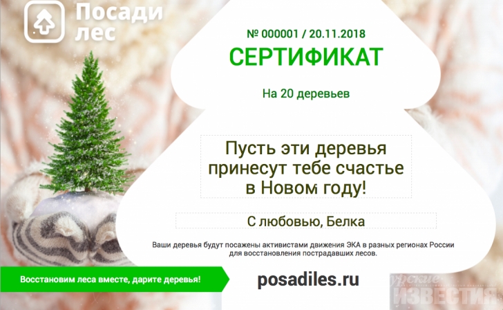 Курян приглашают принять участие в акции «100 тысяч новых елок стране» Курян приглашают принять участие в акции «100 тысяч новых елок стране»