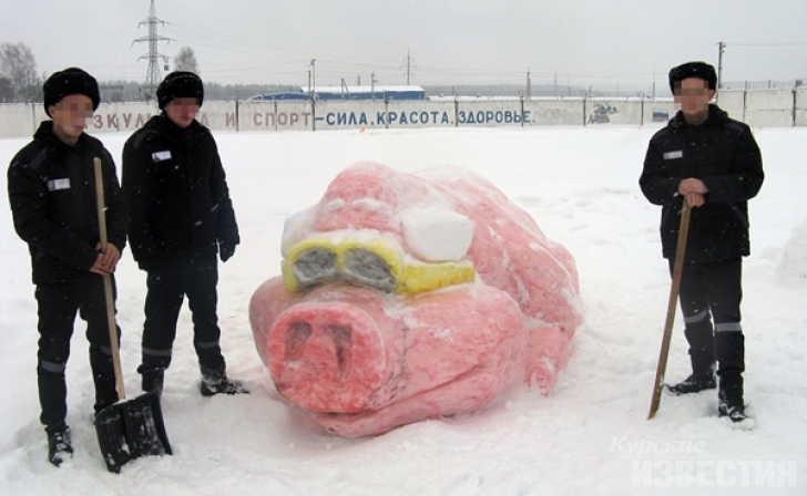 В курской колонии слепили «Мистера Пига» В курской колонии слепили «Мистера Пига»