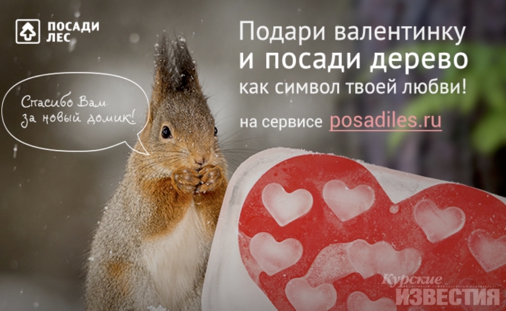 В День всех влюблённых куряне могут подарить близким деревья В День всех влюблённых куряне могут подарить близким деревья
