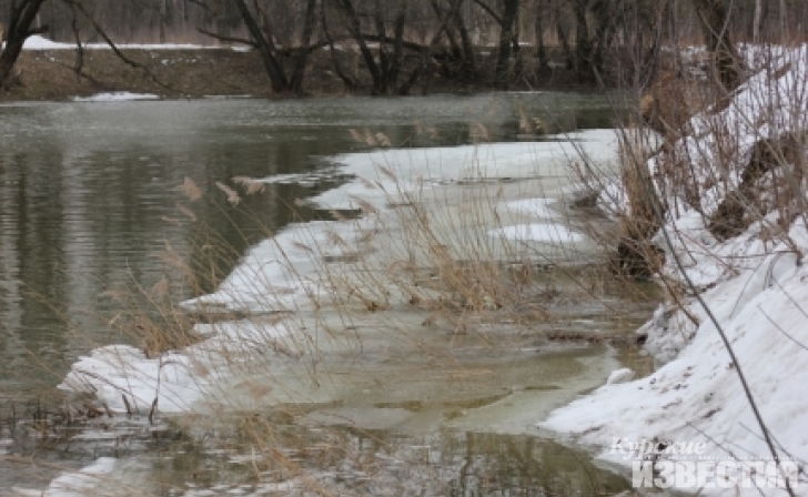 Уровень воды в курских реках начал постепенно подниматься Уровень воды в курских реках начал постепенно подниматься