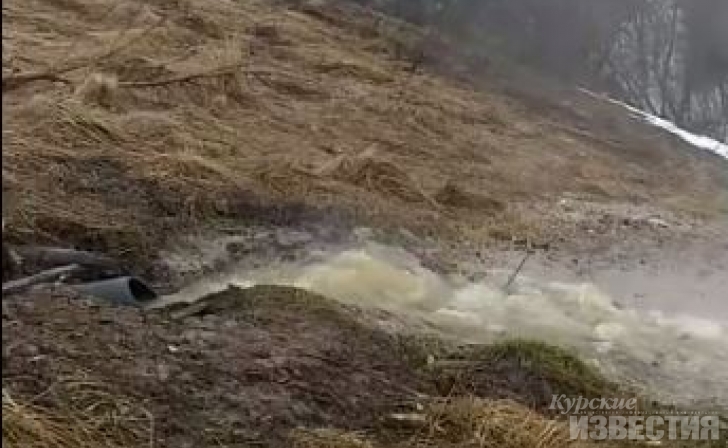 Курск. Жители проспекта В. Клыкова заявили об экологической катастрофе в Крутом Логу Курск. Жители проспекта В. Клыкова заявили об экологической катастрофе в Крутом Логу