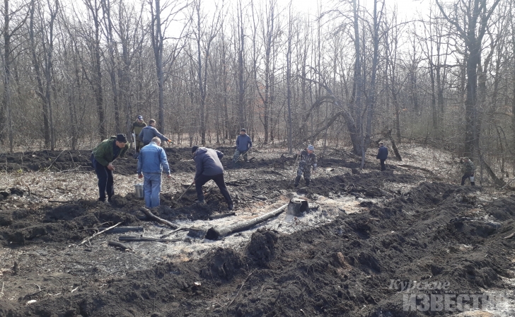 В Курской области проходит акция «Всероссийский день посадки леса» В Курской области проходит акция «Всероссийский день посадки леса»