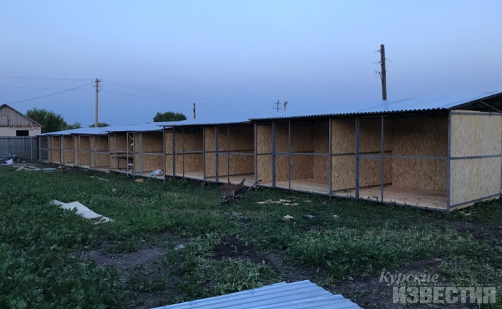 Волонтёры просят курян помочь покрасить вольеры в пункте передержки Волонтёры просят курян помочь покрасить вольеры в пункте передержки