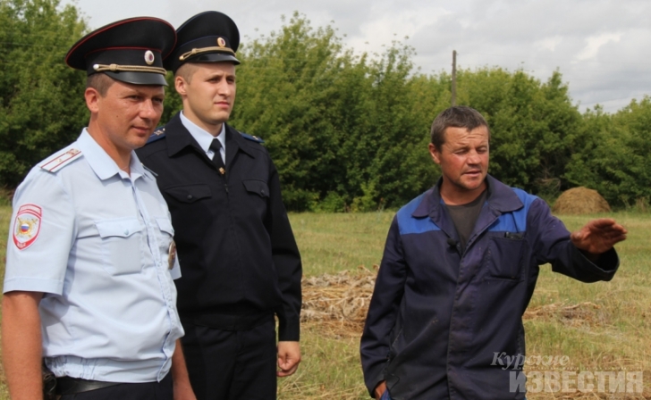 В Курской области полицейские вернули местному жителю пропавших овец В Курской области полицейские вернули местному жителю пропавших овец
