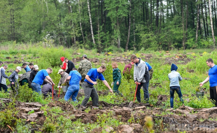 До конца года в Курской области высадят 390 гектар леса До конца года в Курской области высадят 390 гектар леса