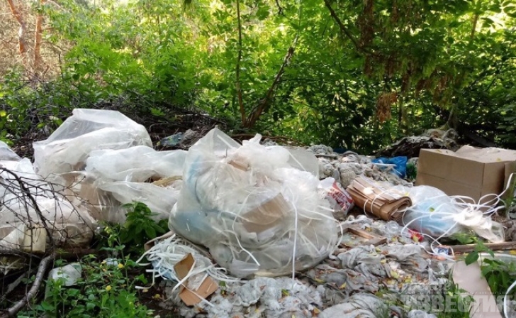 В Курском районе ликвидировали несанкционированную свалку В Курском районе ликвидировали несанкционированную свалку