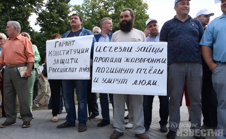 В Курчатовском институте придумали, как спасти пчёл от смертельного химиката В Курчатовском институте придумали, как спасти пчёл от смертельного химиката