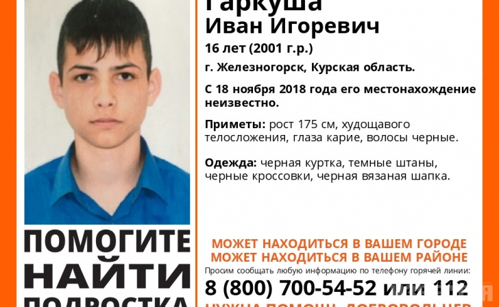 Курская область. Пропавшего в прошлом году подростка нашли живым Курская область. Пропавшего в прошлом году подростка нашли живым