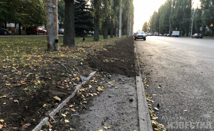 Активисты попросили власти обустроить тротуары вдоль дорог Курска Активисты попросили власти обустроить тротуары вдоль дорог Курска