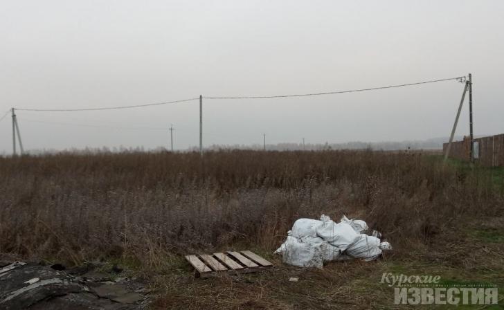 Курск. Артур Романенко ответил на претензии Контрольно-счётной палаты Курск. Артур Романенко ответил на претензии Контрольно-счётной палаты