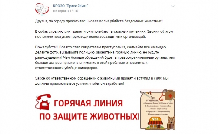 Курские зоозащитники сообщили о новой волне убийств бездомных животных Курские зоозащитники сообщили о новой волне убийств бездомных животных
