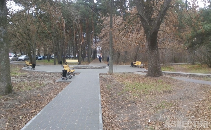 В Курске благоустроили сквер «Спортивный» В Курске благоустроили сквер «Спортивный»