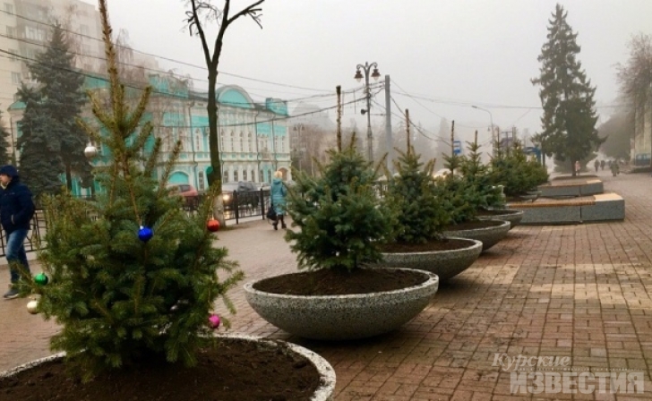 Жители Курска начали наряжать ёлки на улице Ленина Жители Курска начали наряжать ёлки на улице Ленина