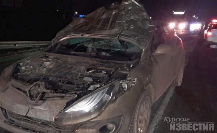 Пешехода под Курском сбили два автомобиля Пешехода под Курском сбили два автомобиля