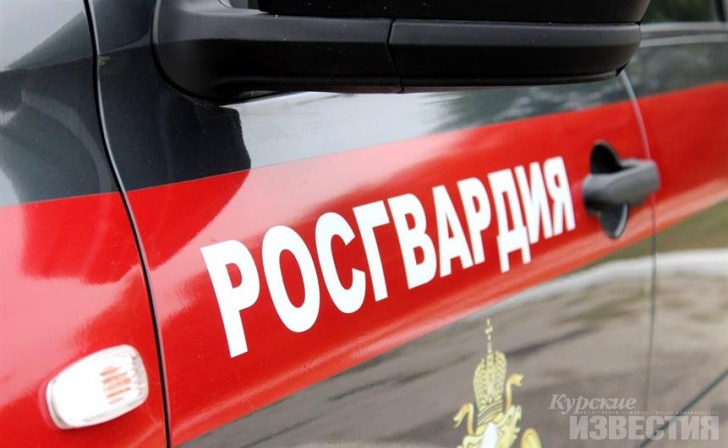 В новогодние праздники курские росгвардейцы задержали более 140 правонарушителей В новогодние праздники курские росгвардейцы задержали более 140 правонарушителей