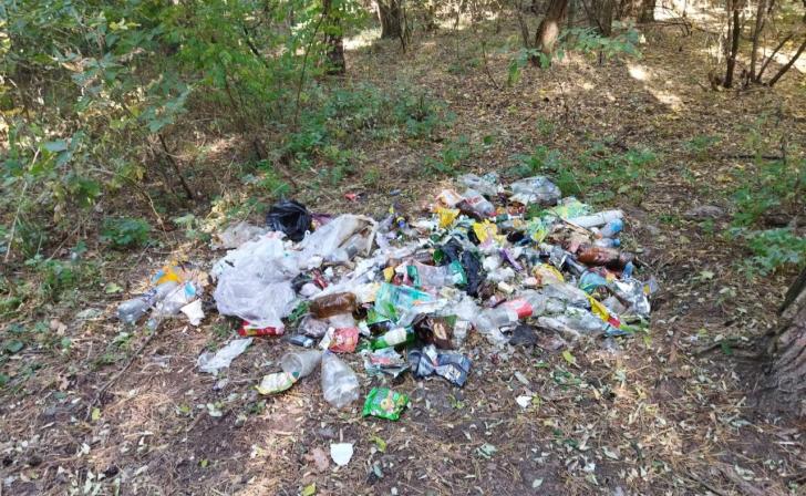 В Курской области в конце 2022 года насчитывалось 35 несанкционированных свалок В Курской области в конце 2022 года насчитывалось 35 несанкционированных свалок