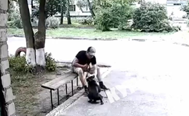 В Курске полиция проведет проверку из-за жестокого обращения с собакой В Курске полиция проведет проверку из-за жестокого обращения с собакой