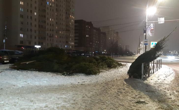 В Курске 20 и 21 января «Экотакси» соберет елки на утилизацию В Курске 20 и 21 января «Экотакси» соберет елки на утилизацию